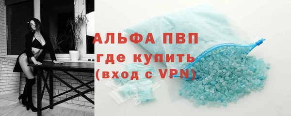 ГАЛЛЮЦИНОГЕННЫЕ ГРИБЫ Осинники