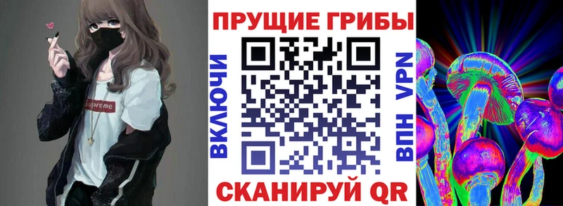 закладка  Дятьково  Галлюциногенные грибы ЛСД 