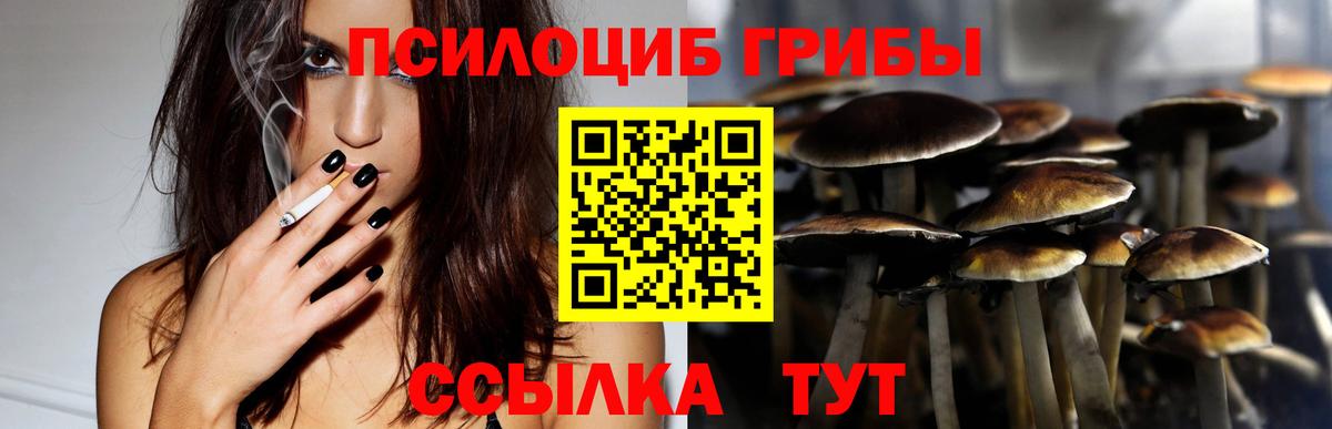 Галлюциногенные грибы ЛСД Дятьково